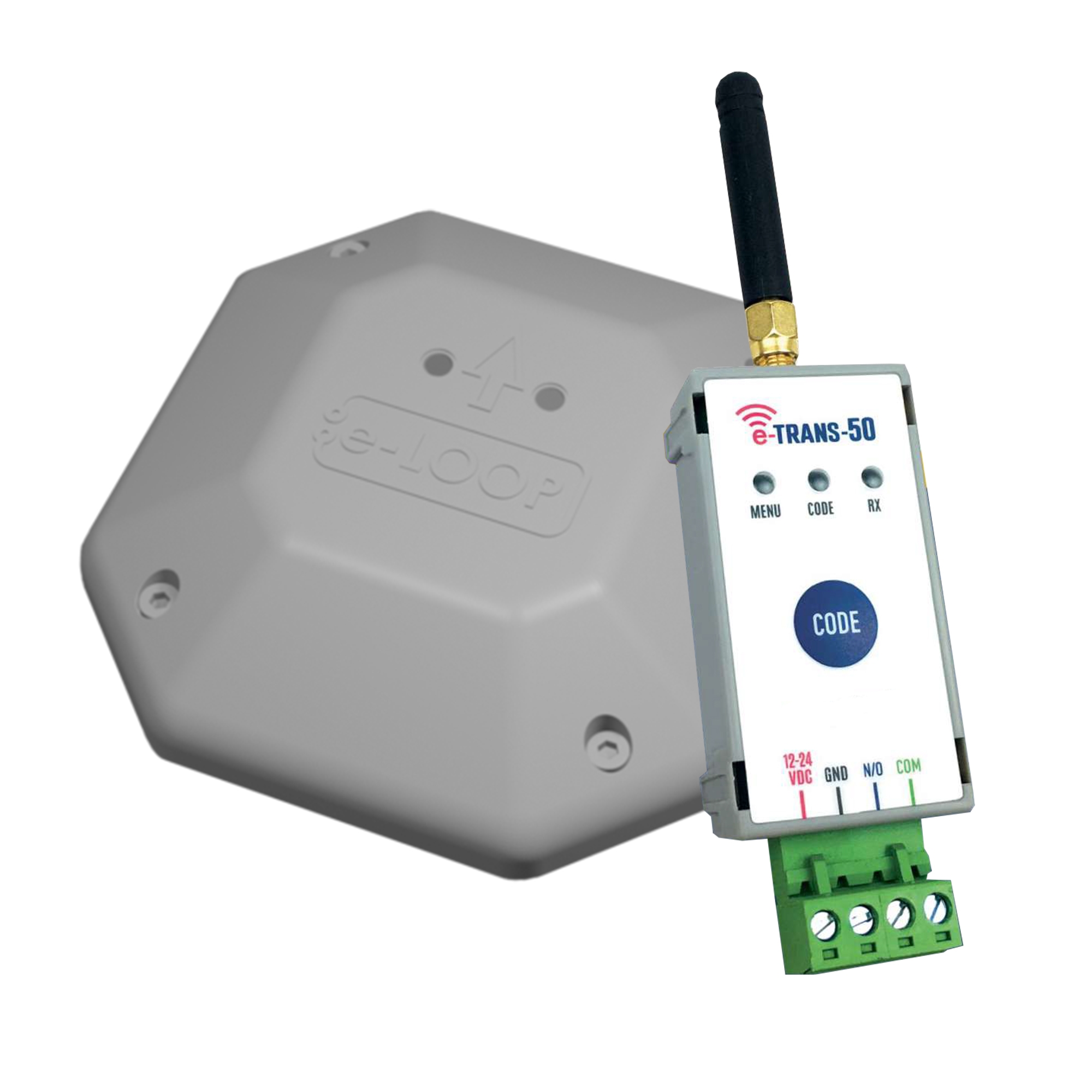 AES E-LOOP Domestic